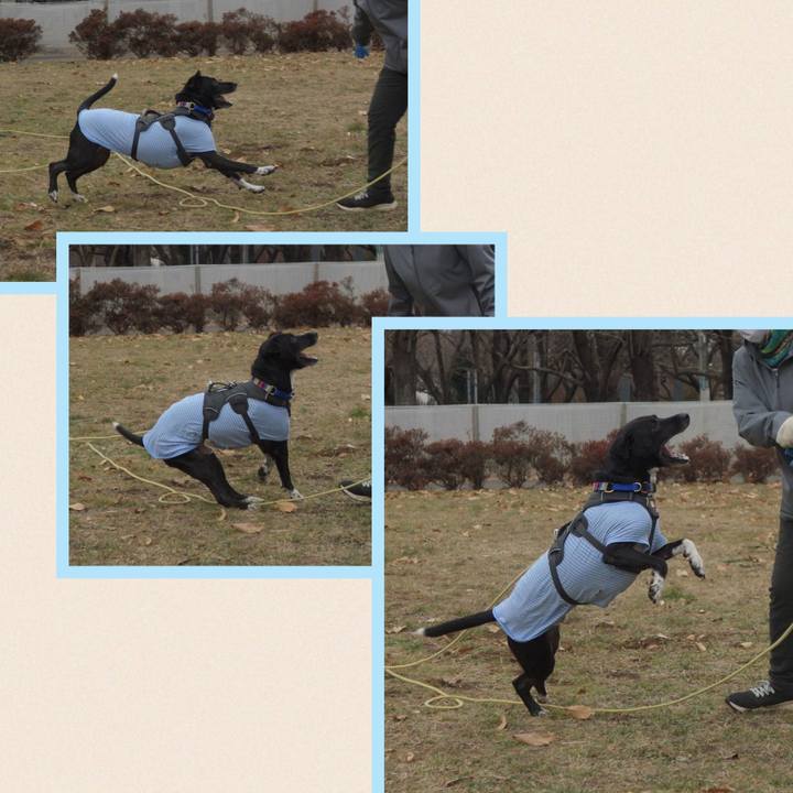 62a5de93 f235 4cf7 9f74 8060e9b0d06b 1641087190508