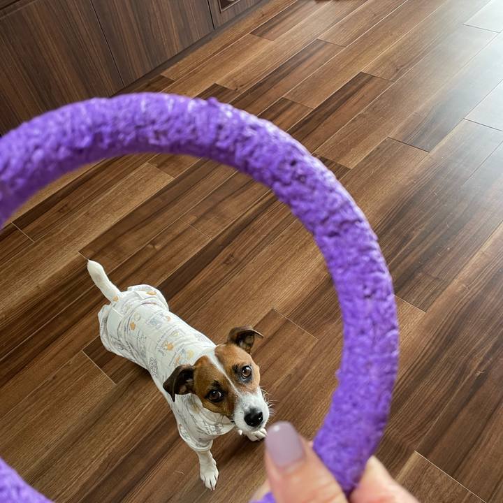 62a60706 8484 4313 b59e 1fcca1dbc6d2 1648542066846