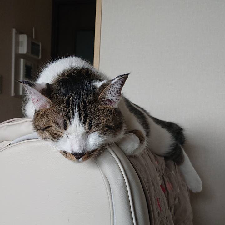 62a60bf7 2a47 47f2 97e7 30599063d3e6 1565955563484