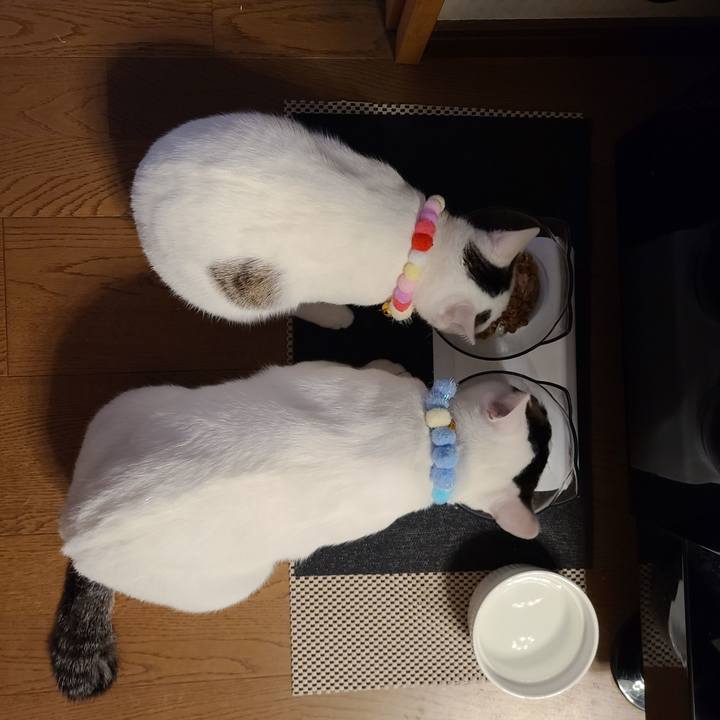 62a621ef 3e8b 4629 b9b2 0b5a2332c4db 1643706291385