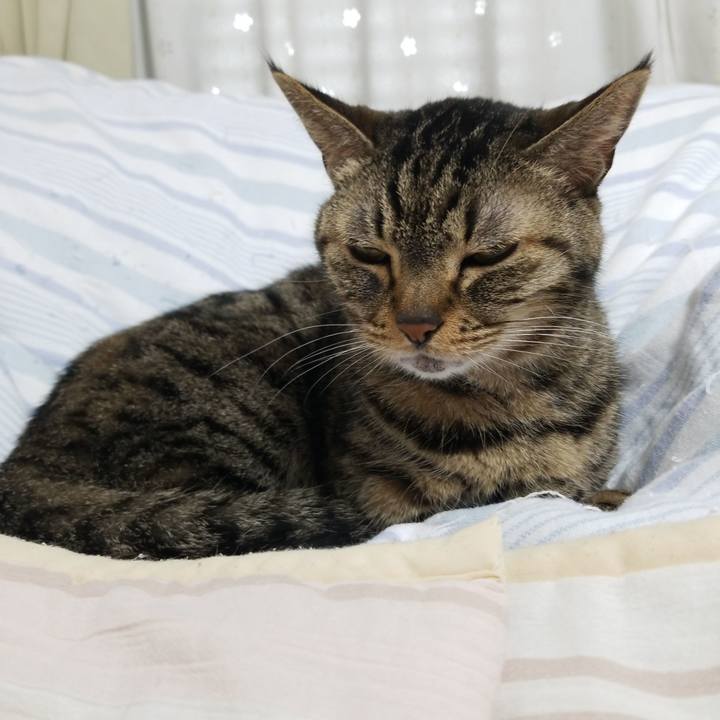 62a6675d 578c 4ca9 a087 e0db3b234bc4 1585517587041