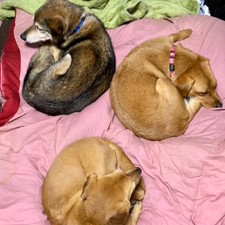 62a695ee 27df 4367 9996 b42584df554f 1575497598071