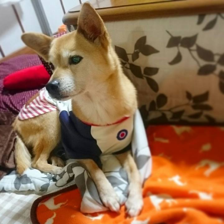 62a6b4a8 22f5 4a1a 9f1f a0bad9346052 1515588276686