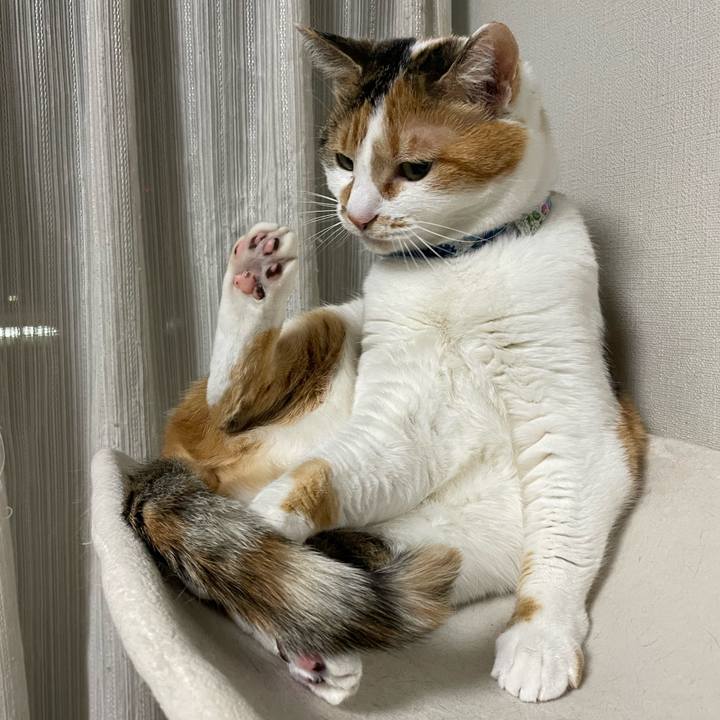 62a70739 c041 444f 8941 c61fa0d490f2 1711204332806