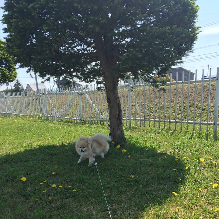 62a73a9f 0953 4b33 8dd9 08802c16bcd2 1558861929168