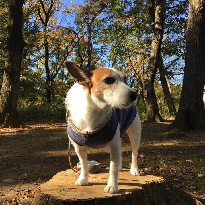 62a75ea6 dd33 43ba ab60 cb6963c8b6b1 1606094945174