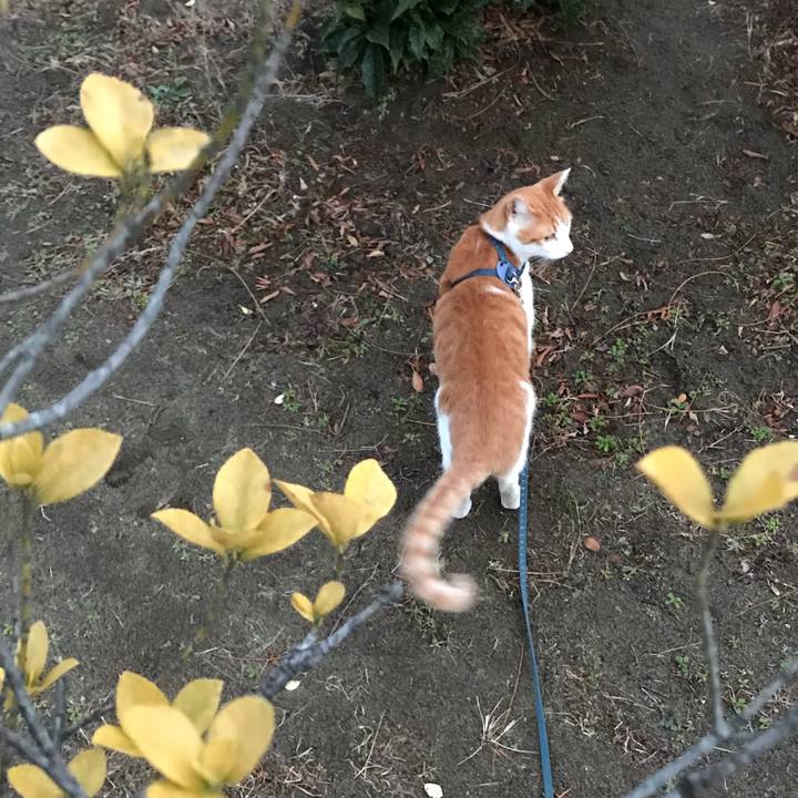 62a76c73 ff40 4659 a4aa ca3829910469 1514278092270