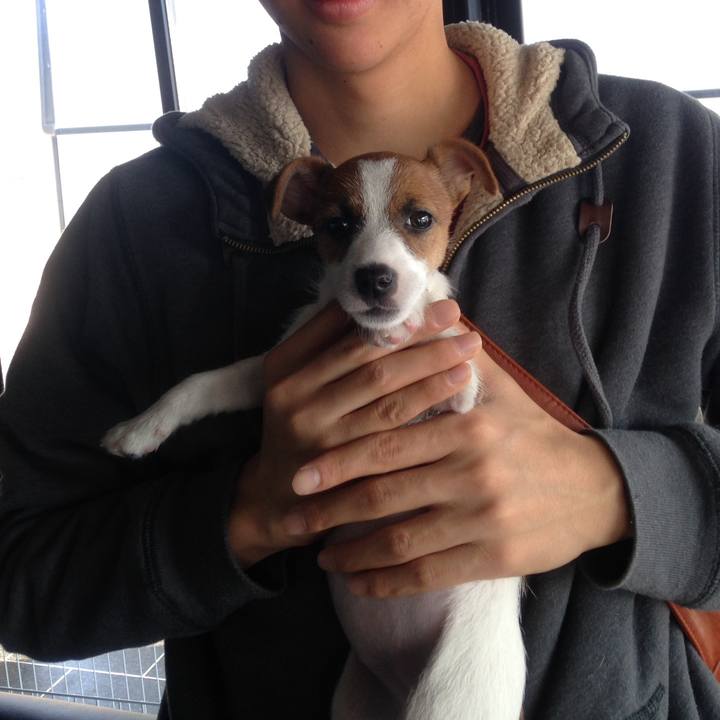 62a76de1 e18e 4b00 a68b c930da1230b7 1742167128909