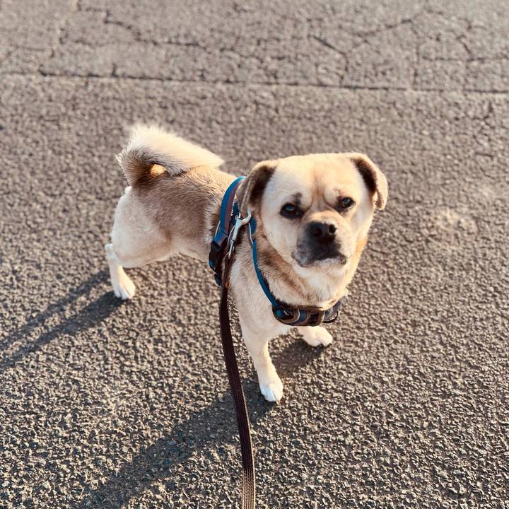 62a770cc b31b 4269 83ff 7a1b1f867fd5 1768637393344