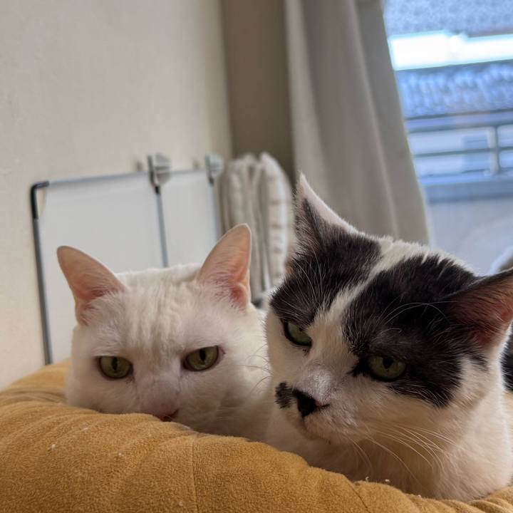 62a7856a 044c 4666 9b5a dfc3273efdf2 1767442792152