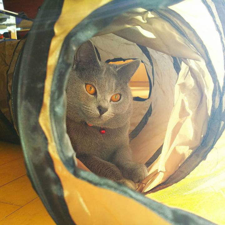 62a7df7d 4d24 422f b9eb f9441ac8278b 1514415242537