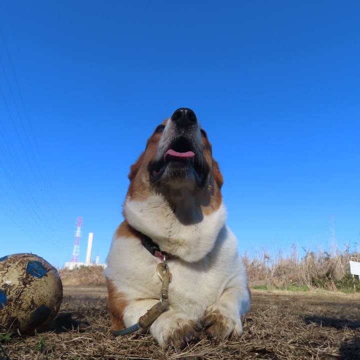 62a7f79d acac 49f9 b80e 304930a99a67 1640735590197