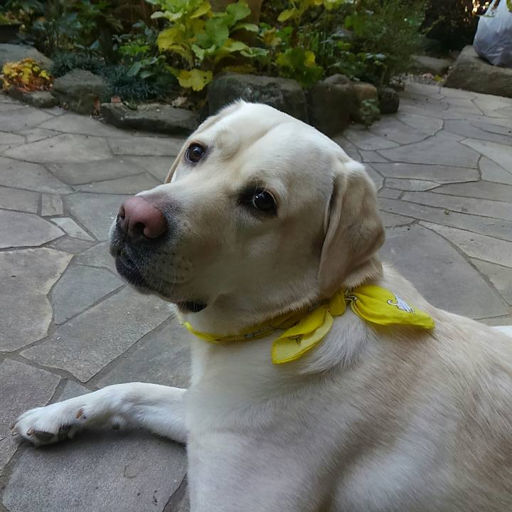 62a819d5 e146 447a b27f 13c622f1f81b 1513823243251