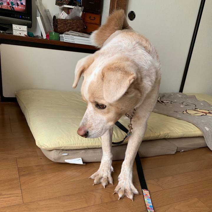 62a84e70 cda5 4644 aba0 c4dd0cf3f8b8 1547168030122