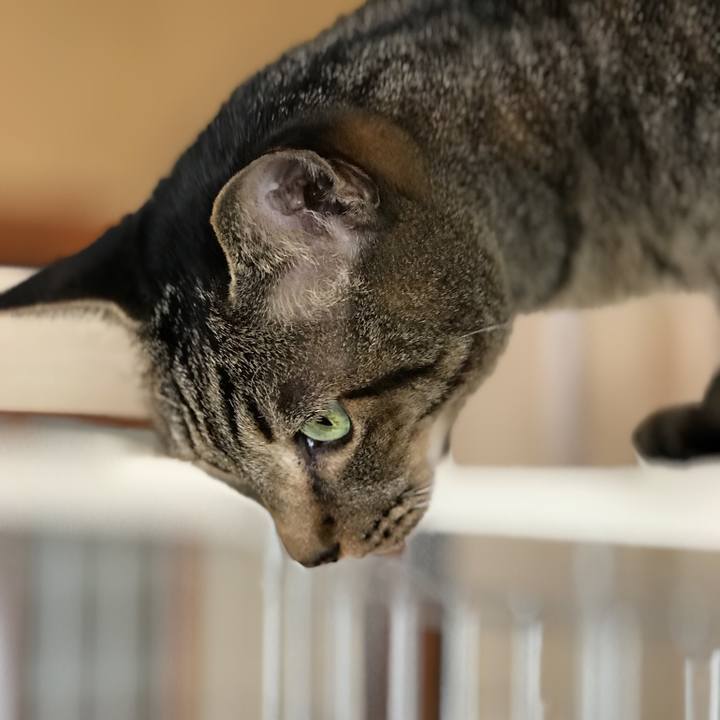 62a8692e a4d9 46dc 8d93 ba6adbebc4b5 1508807959956