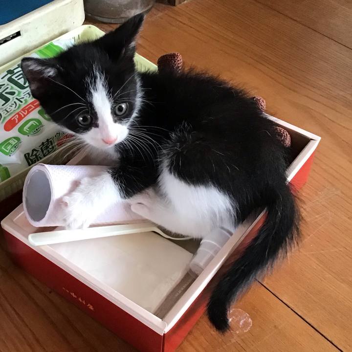 62a880a2 ec18 4344 ac9d 0319d072bdb8 1623308408485