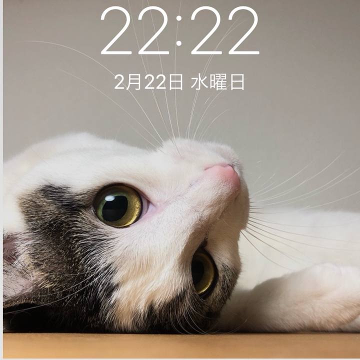 62a8c71d 19bc 4a47 8145 73326064e51d 1677072187425