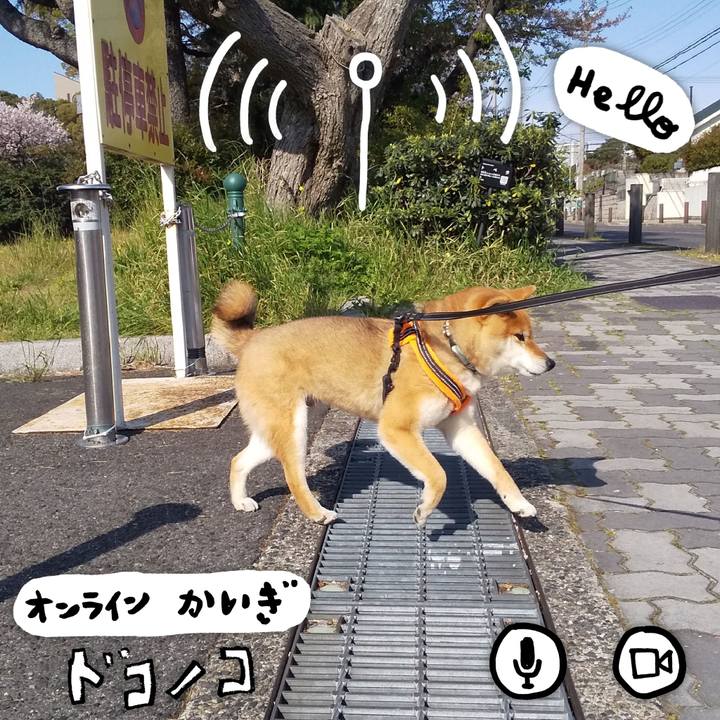 62a90e5f e7b1 4a10 b765 c53d434c06a9 1590925868319
