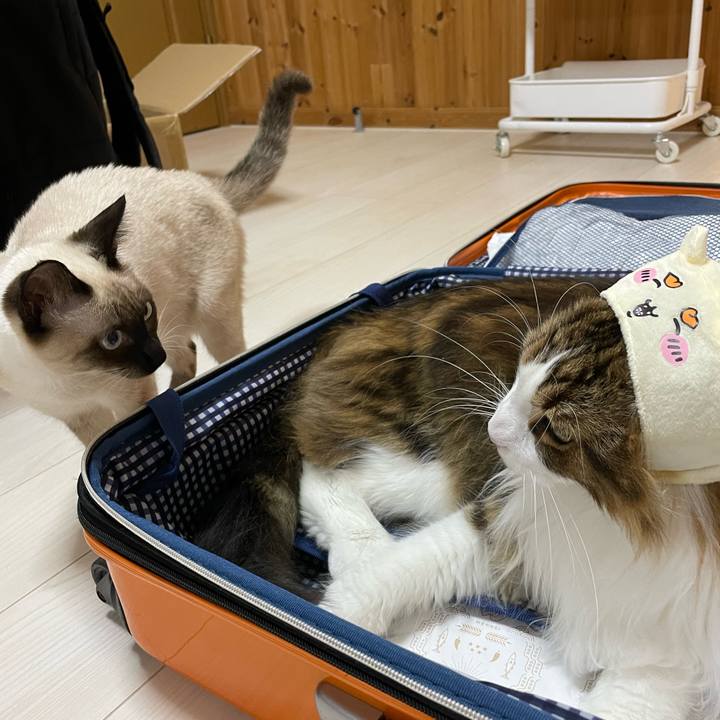 62a91e57 7651 461e 8b0f 0eccb7b2c19e 1701156729468