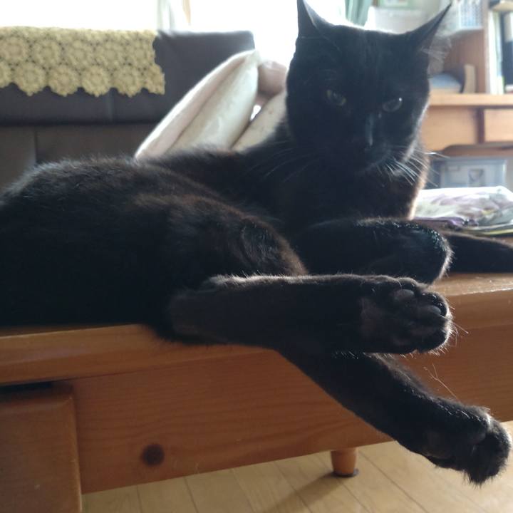 62a95917 2827 476c a300 60d8e99dee3d 1632635767405