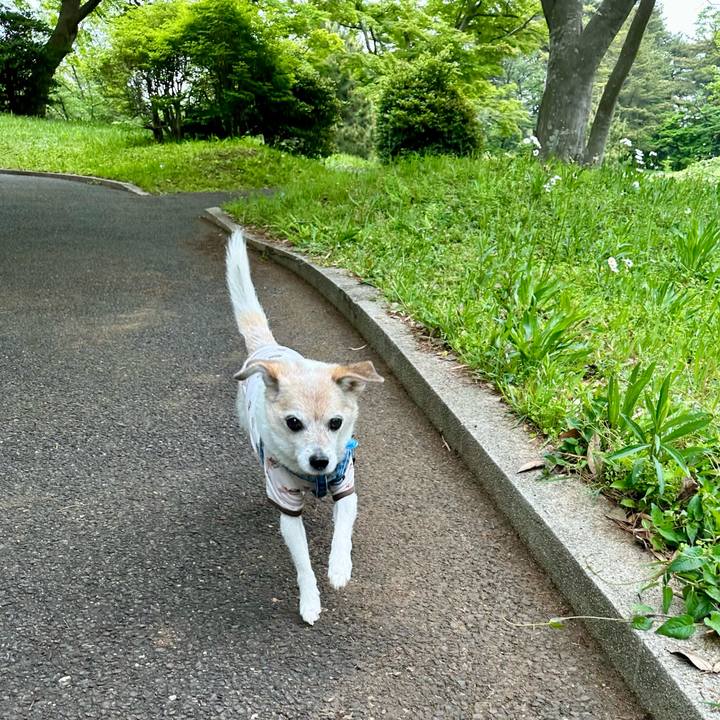 62a979a3 8388 41d1 ad87 cf5d362ea217 1745578231830