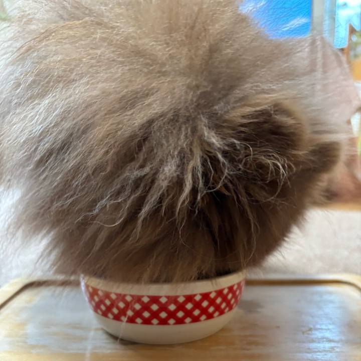 62a9982b a306 4e2c 9eef 275434da9464 1740267825168