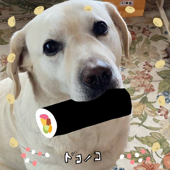 62a9b3b2 facd 4161 8b8c 5f77599ecea1 1741655930804