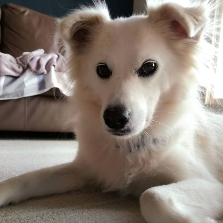 62a9ed5f 616c 42bc 94e9 437de37fe140 1540382880304