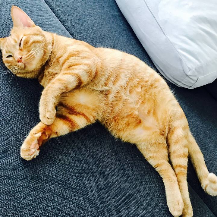 62a9f782 dd50 4524 aa00 36f38a3db43f 1598058574039