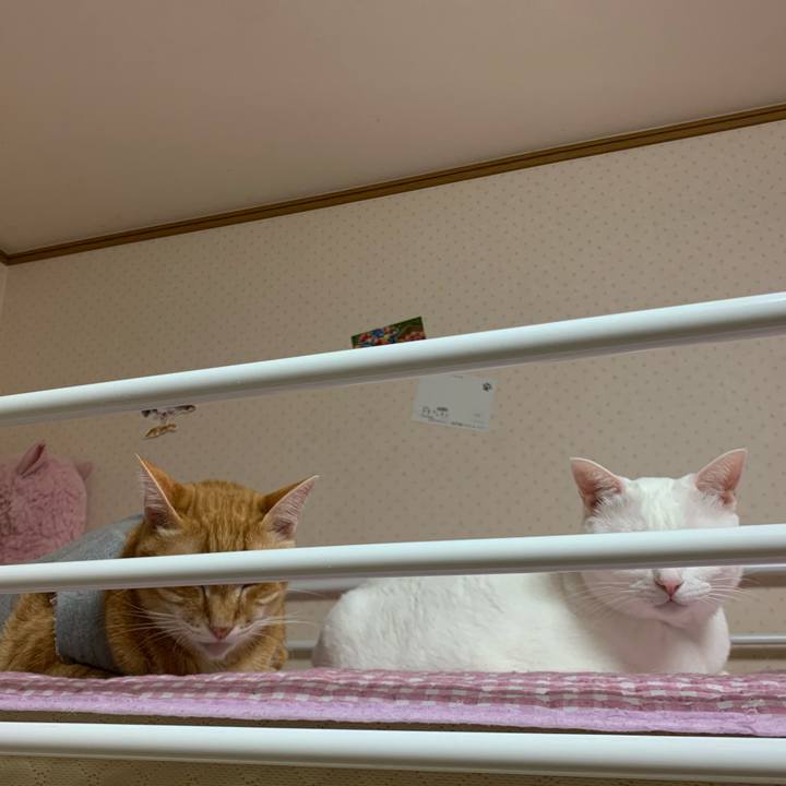 62aa4129 d10e 4719 8d6c 2e2a8dc91338 1574869704522