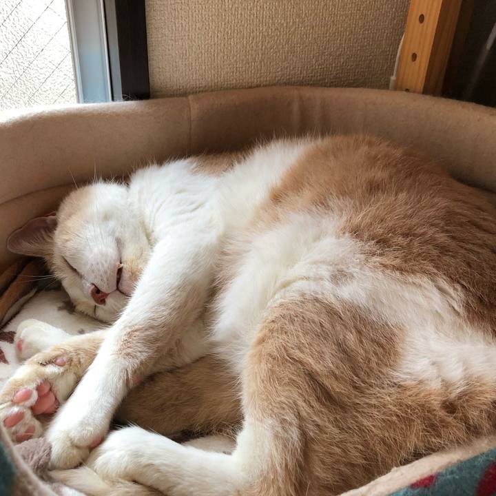 62aa43d2 1e48 4a26 9fe7 dac2931a6eb2 1569205468168