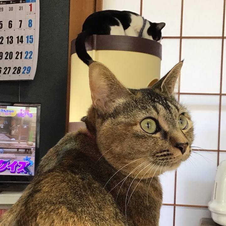 62aa487f f63c 4940 9614 6ea45ccba218 1642809947879