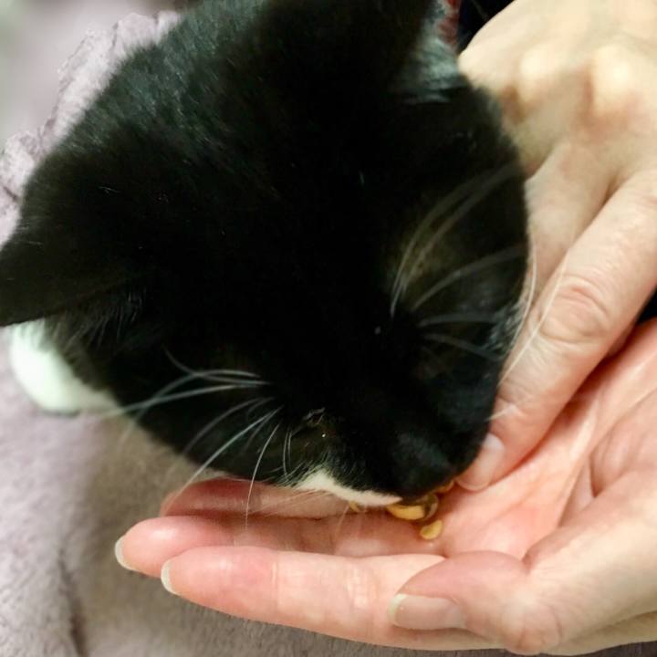 62aa5f25 5b3d 475a b722 16586026c85a 1580803060892