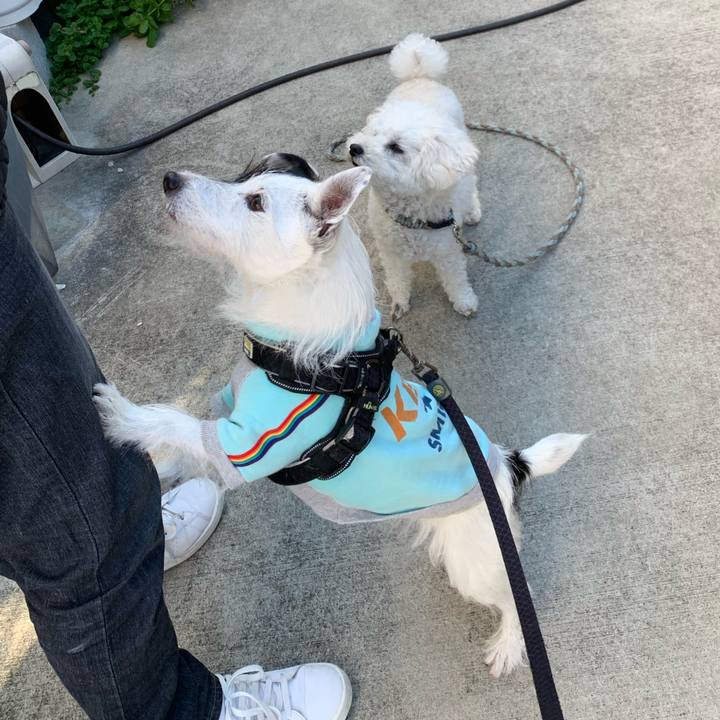 62aa9192 dab9 417a 91c0 70ffdb008ce9 1732926325395