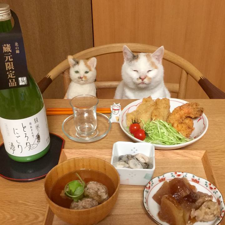 62aa983b 6152 4843 b6f2 8e7e26ee6ef9 1541244679293