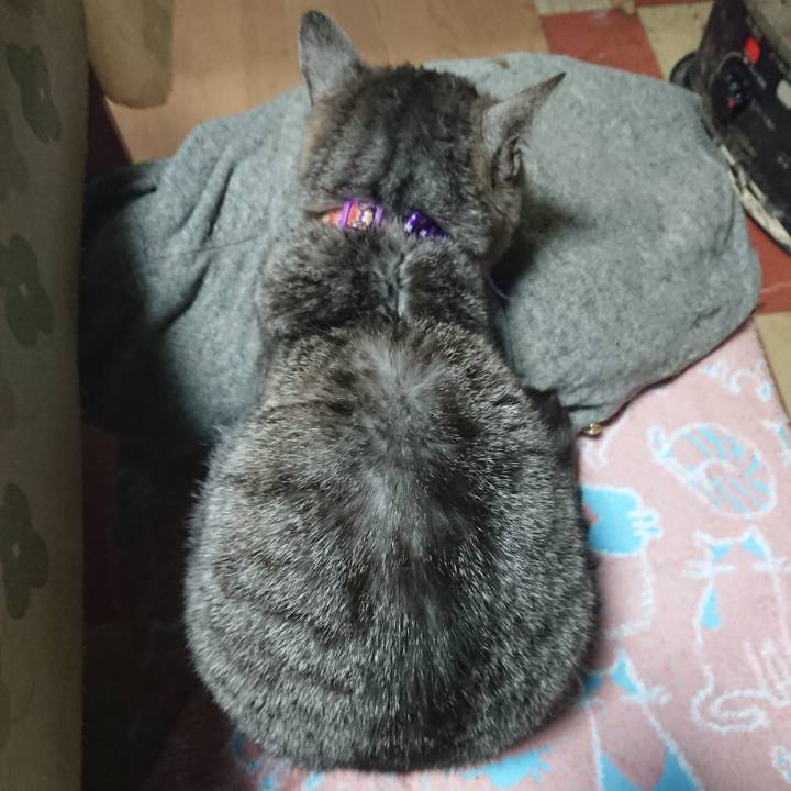 62aaa6aa 6a87 458b bc3d 0b16124a5ea5 1590751153343