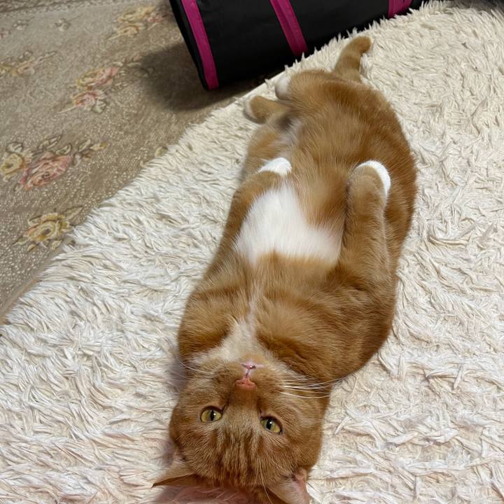 62aabca2 7875 4b7c 9da6 8f4b1d205f6c 1653728778735