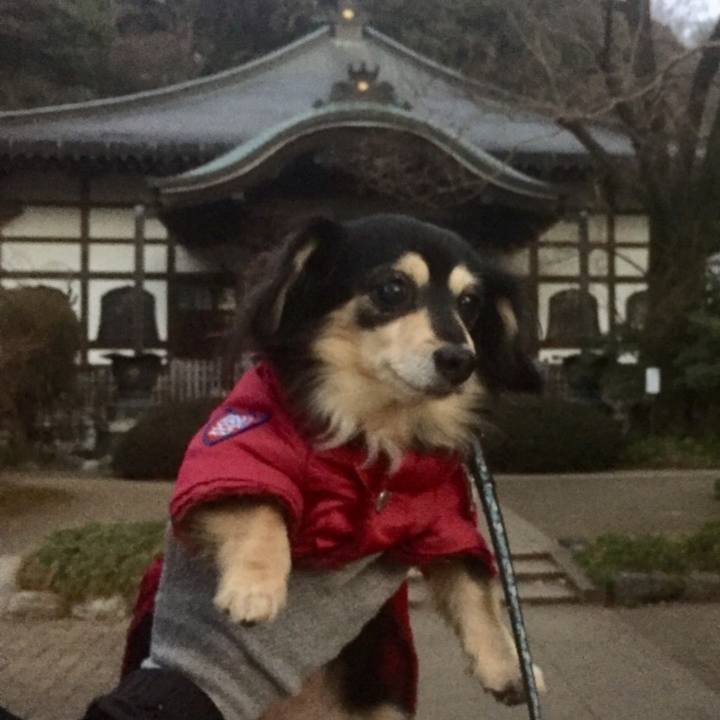 62aad156 921d 4c71 8ed9 82e404083f94 1579651035613