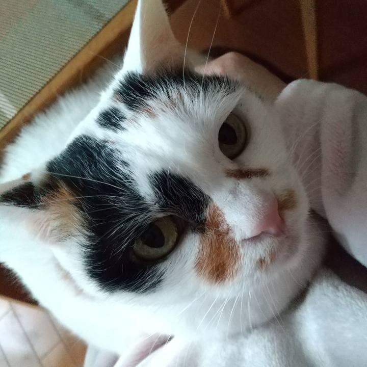 62aafeba 1829 4b31 a491 9924f82f661c 1705390355761