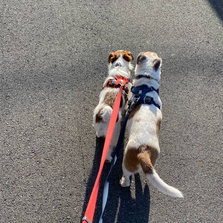 62ab2e1c e478 4cf8 bb7a 1a6d4654cd28 1679183345405