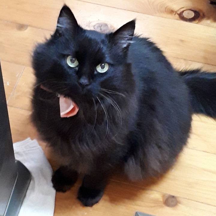 62ab92f4 986e 4d63 bdcd 2e6a0d57bab6 1520321205360