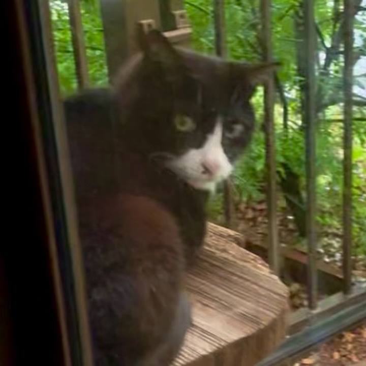 62abae3d ddb0 43c8 92d0 363c0b28b196 1747820940207