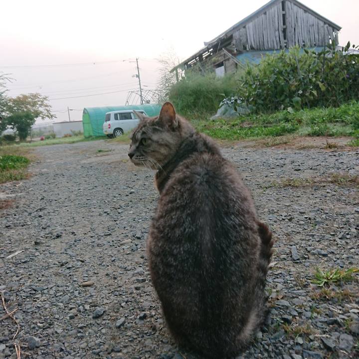 62abcf65 bff7 48e9 90ee 5cb0cead7958 1569963201559