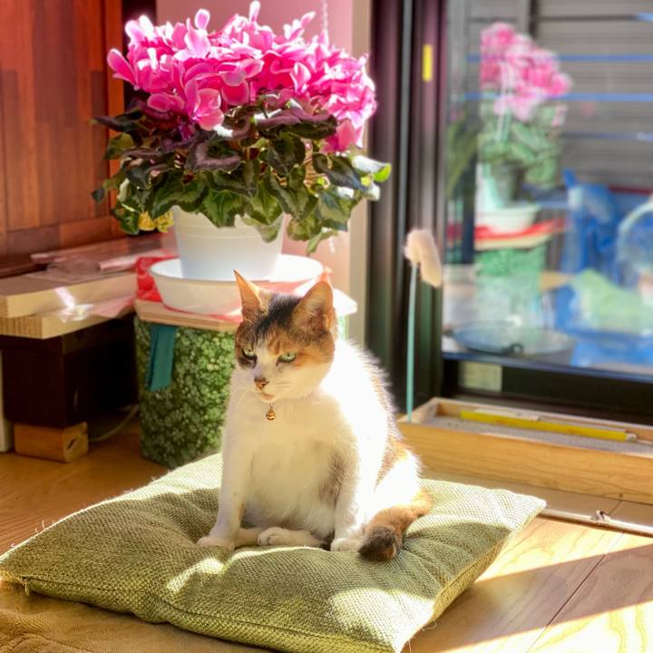 62abe325 9779 4e87 8c18 11bed9d3510a 1672886404981