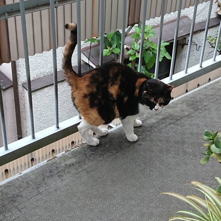 62ac50ba a6d9 44ec b130 e233f048c771 1557625344338