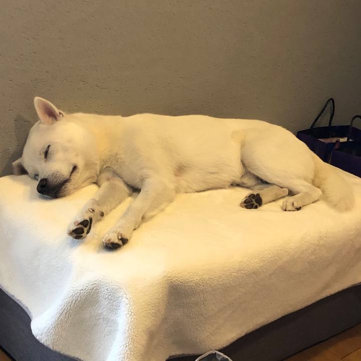 62ac7885 7f98 43d5 b7d1 e468f86491a8 1576238479321