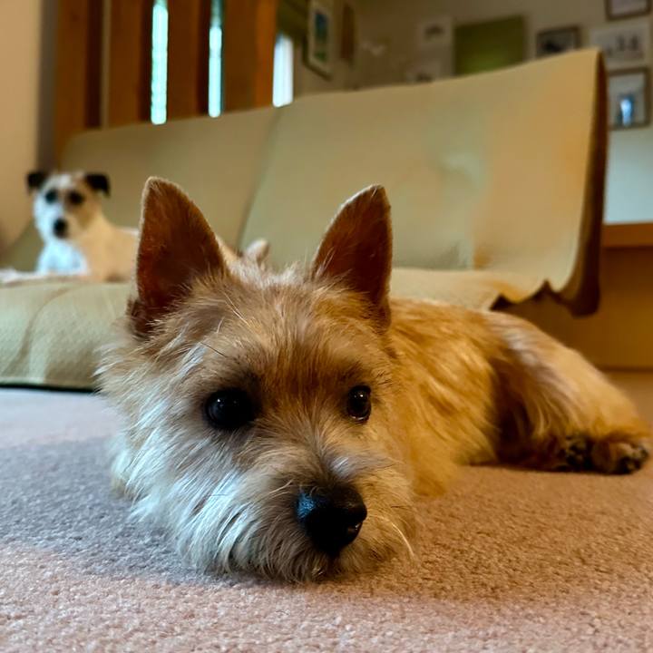 62ac7d50 acd8 4e54 ba4e af9294a7d57d 1719058255697