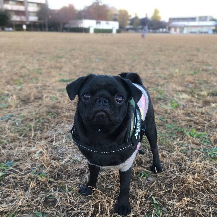 62acbbc9 3fd7 4129 ac80 b92a13d2b451 1606861652300