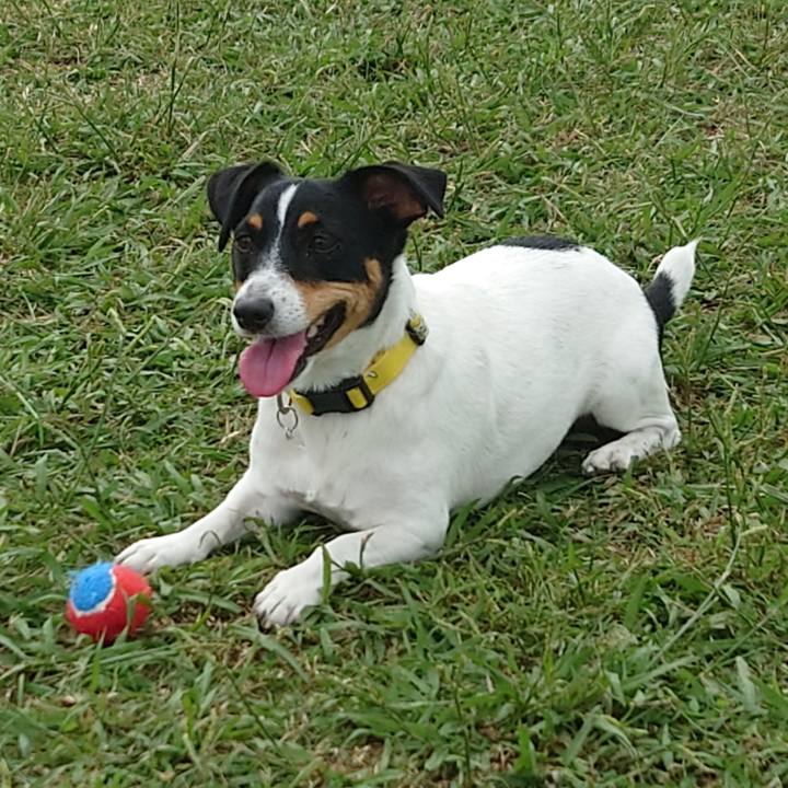 62ad125e 1ecc 4a4f a763 507df2df5058 1696927037494