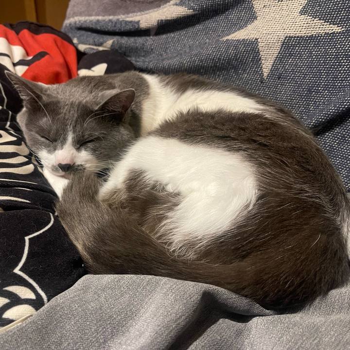 62ad285a f6b2 49fc 82fd 20013d3d55d3 1649247800275